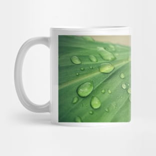 Green leaf covered by drops of water Mug